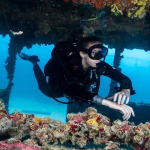 SDI Wreck Diver