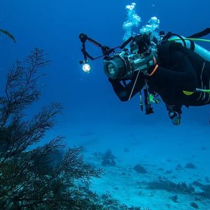 SDI Underwater Videographer