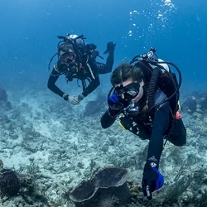 SDI Divemaster